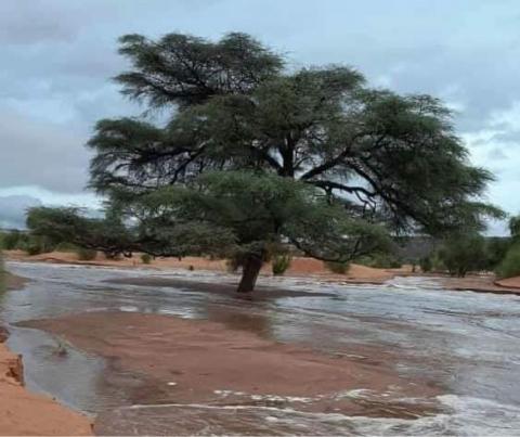 أمطار في عدة ولايات تجاوزت 130 مم في بعض البلدات (مقاييس)
